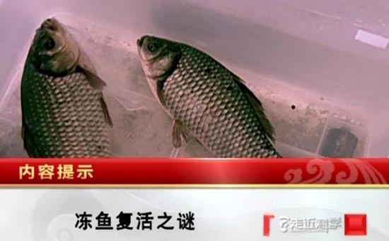 《走近科学》官网