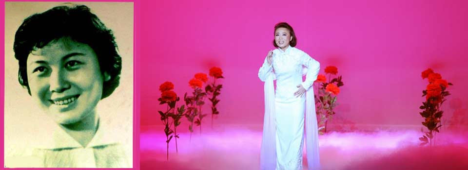 Stage Drama of Huangmei Opera Yan Fengying