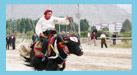 Yak Race