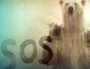 CCTV Special Series: Change with the climate
