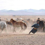 Mongolia