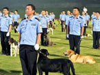 Shenzhen to ensure Universiade security