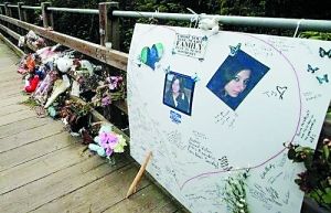 关于同学,我大四了的毕业论文范文