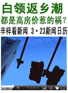 示例图片