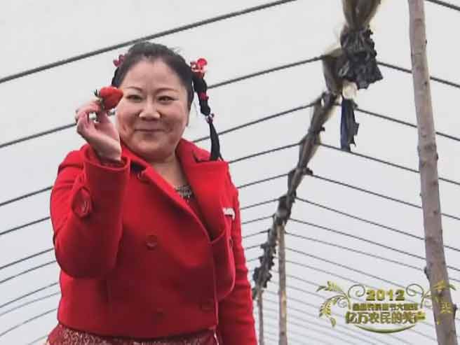 ���Ų˻����迴�߿Ƽ�ũҵ
