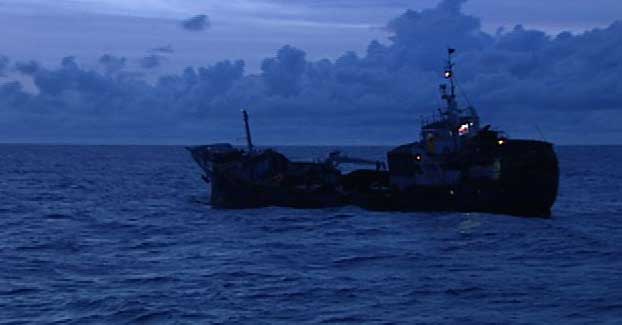 微·副刊-南沙渔业养殖潜力初探