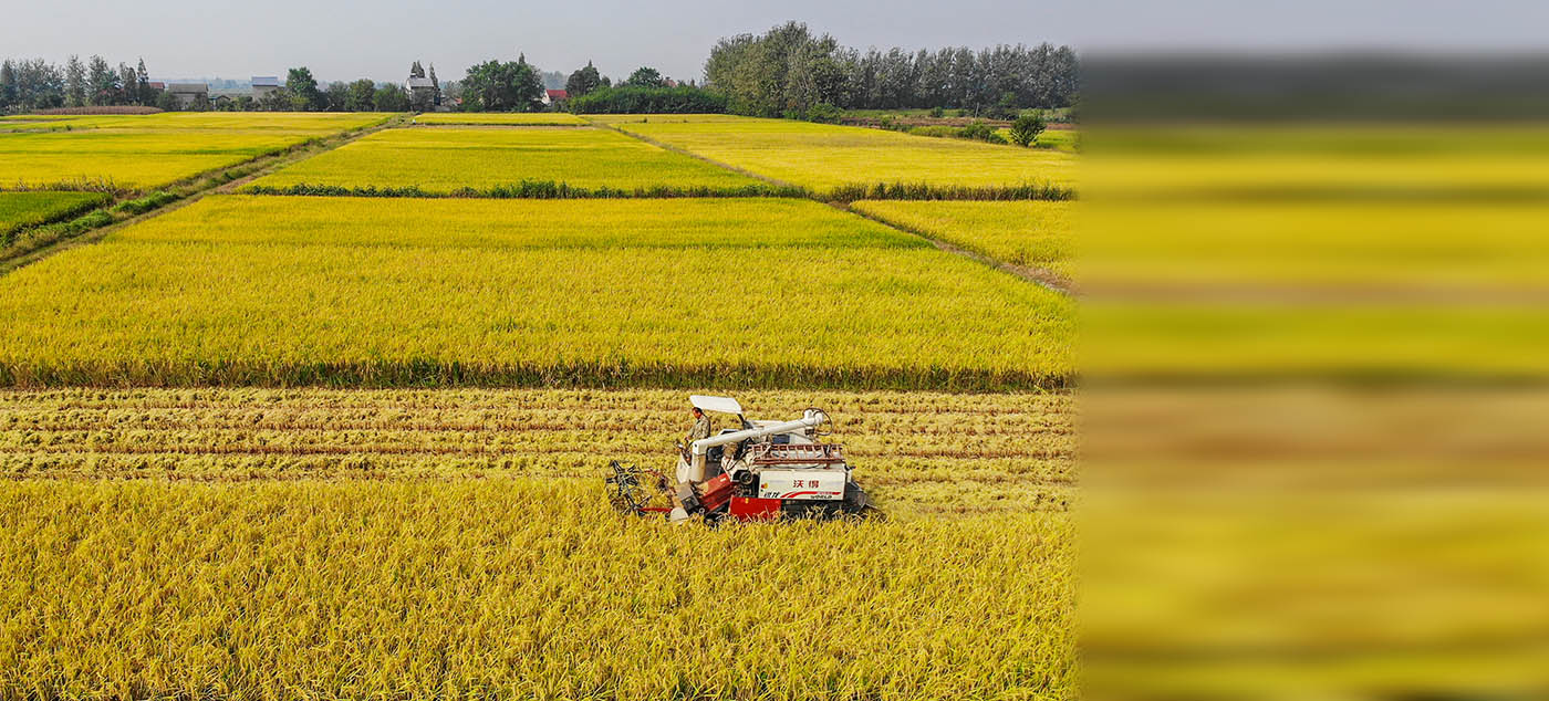 央视网_世界就在眼前