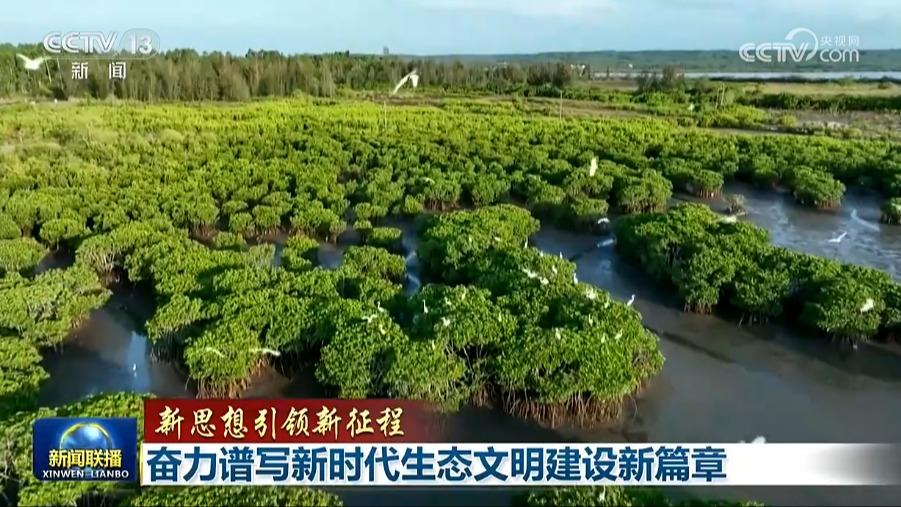 新闻联播 20260518 19:00图片