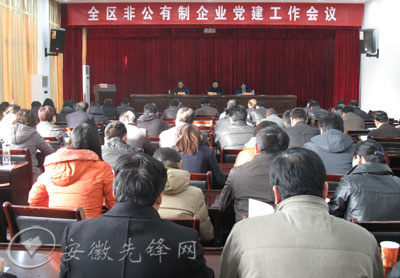 安庆市迎江区召开全区非公有制企业党的建设工作会议