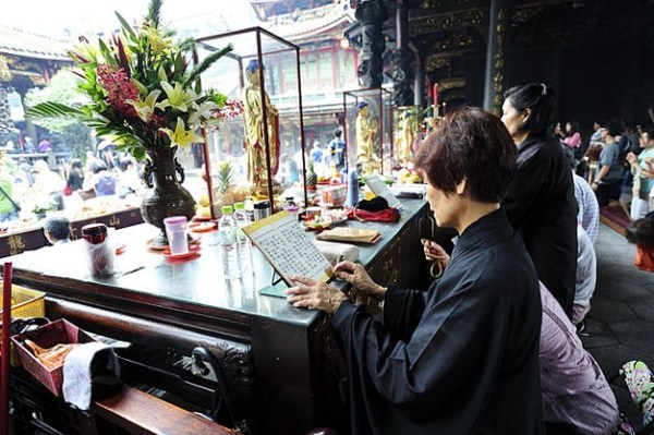 春日洗肺计划 开启环保绿色之旅