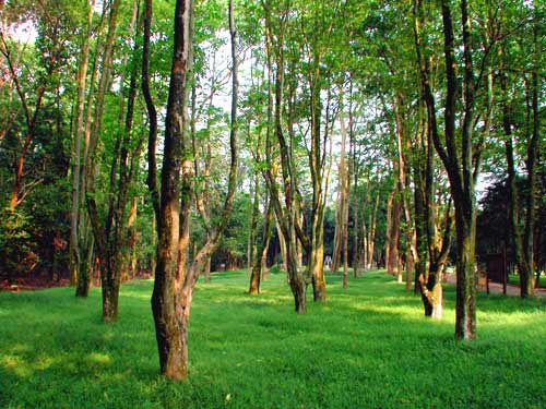 南宁周边各个好玩的地方先睹为快