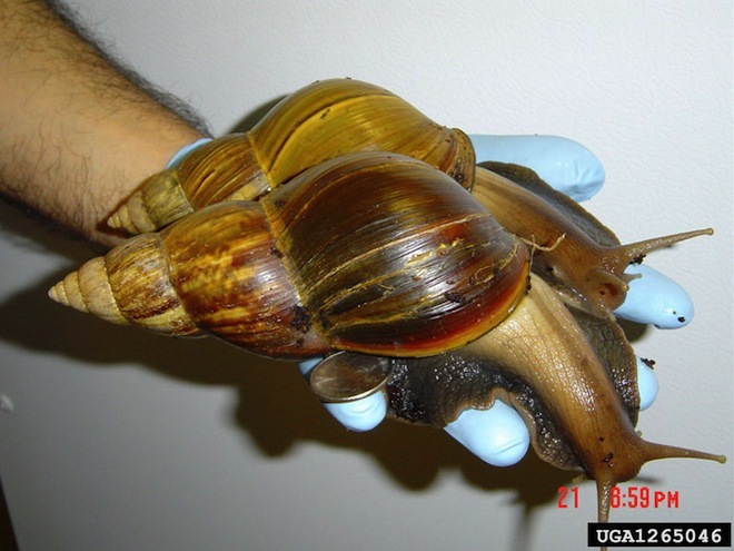 2013050714562573256.jpg