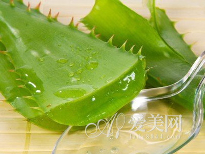 <em>夏季</em>5款芦荟<em>减肥食谱</em> 改善肠胃除便秘又美容-