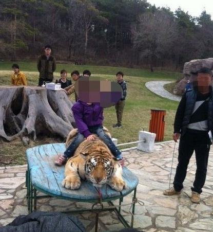 虐待动物成风:谈动物福利很奢侈?