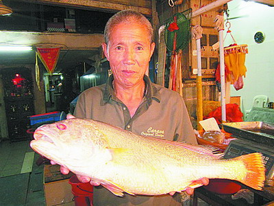 正宗黄鱼价格多少一斤 2013092910050622905.jpg