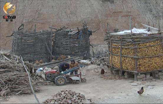 孙佃义夫妇为明年复耕耕地做准备