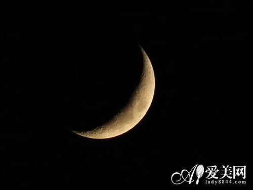 新式减肥方法 依月亮变化周期_时尚台_央视网(cctv.com)