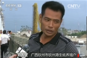 视频截图