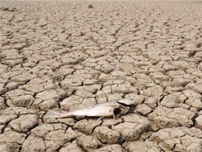 我国十余省区干旱持续 山东江苏河南紧急调水