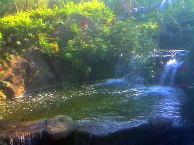 <em>2015</em>厦门情人节<em>把妹</em>约会攻略 教你怎么浪漫又