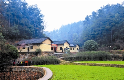 湖南省深入落实中央八项规定精神 驰而不息纠