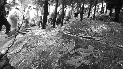 顶级红马正式开放报名通道_共产党员微信 共