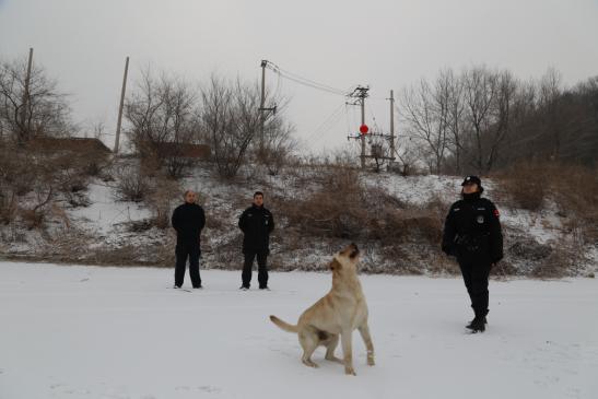 凌晨2点带犬巡逻，警花的“铲屎官”日常是这样的