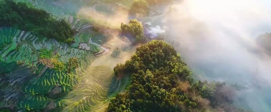 带着地球去远方（图4）