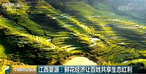 啥叫生态经济 2019040816070633014.jpg