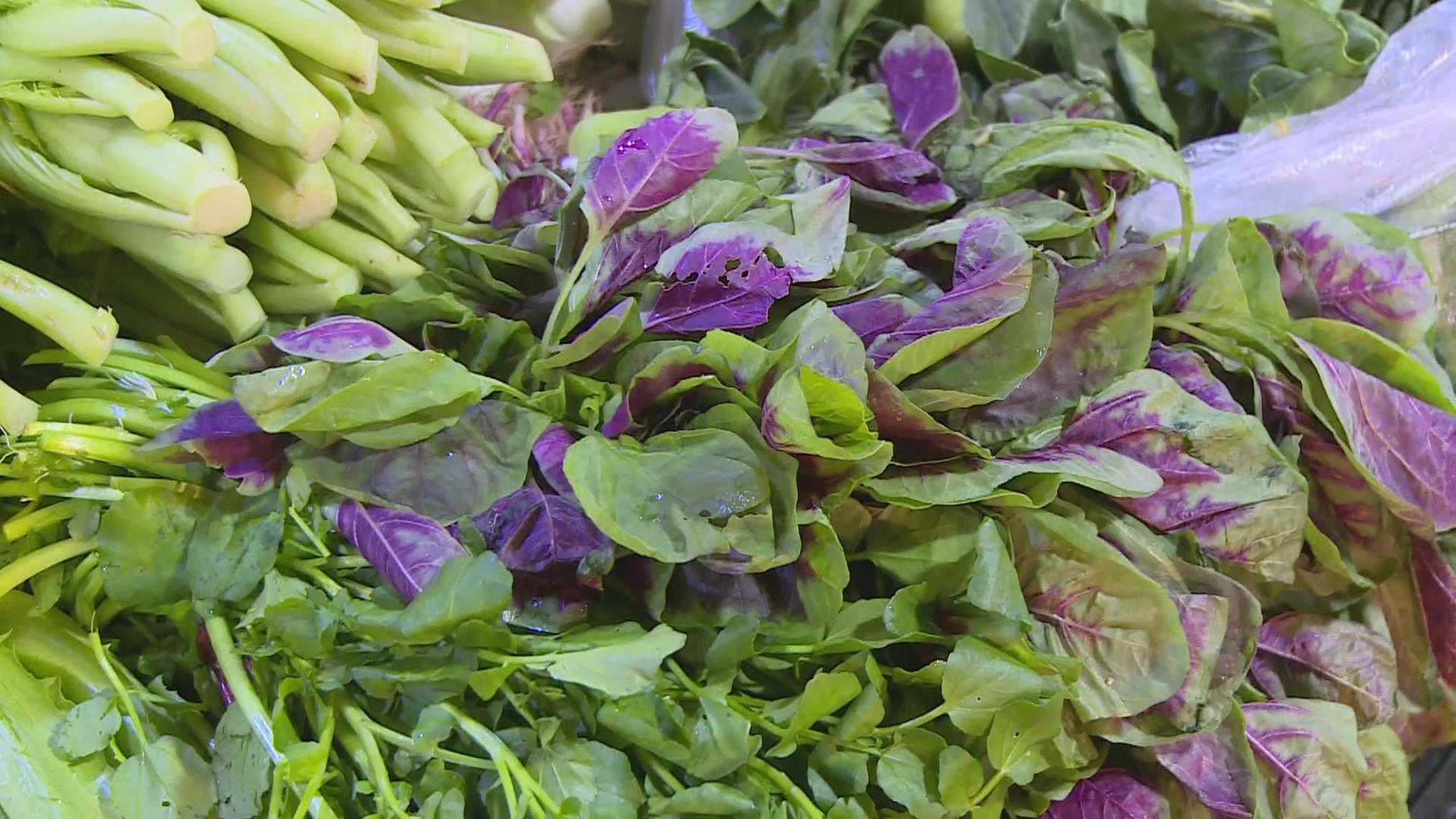 本地苋菜少量在市面上销售 油菜等水叶菜品种雨天吃划算