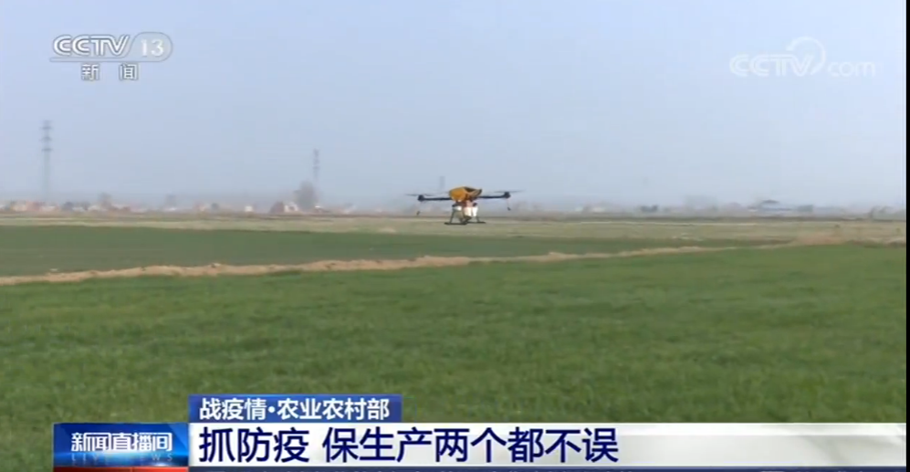 「农业农村部」农时不等人 农业农村部要求抓防疫 保生产两个都不误