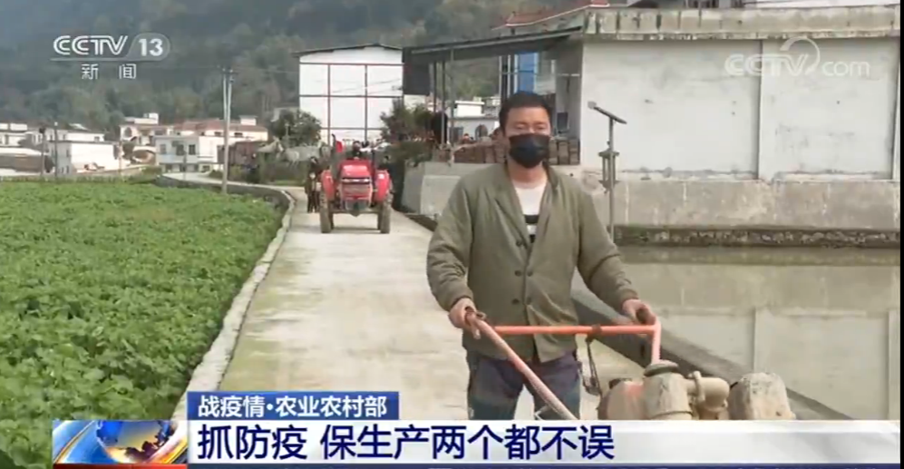 「农业农村部」农时不等人 农业农村部要求抓防疫 保生产两个都不误