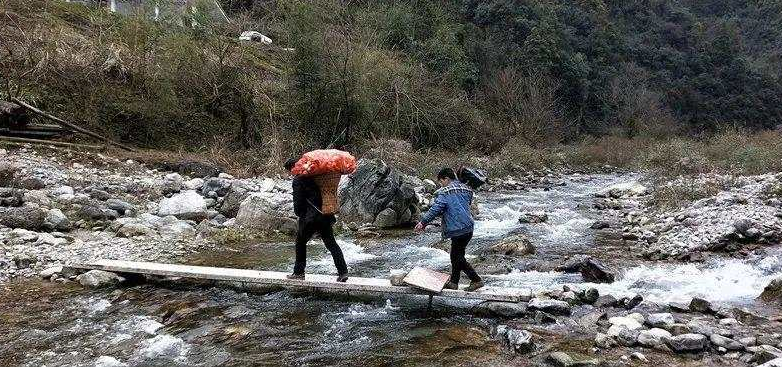 【物资】肩挑背扛!他们从大山里凑了85吨物资送武汉,还留下一句诗…
