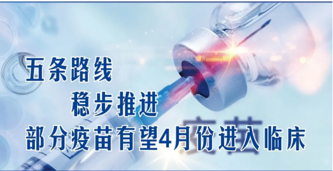 『路线』五条路线稳步推进，部分疫苗有望4月份进入临床