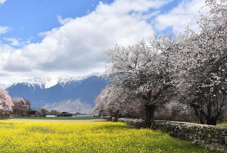 『8点见』【8点见】处罚来了！辱骂防疫人员的外籍男子被限期离境