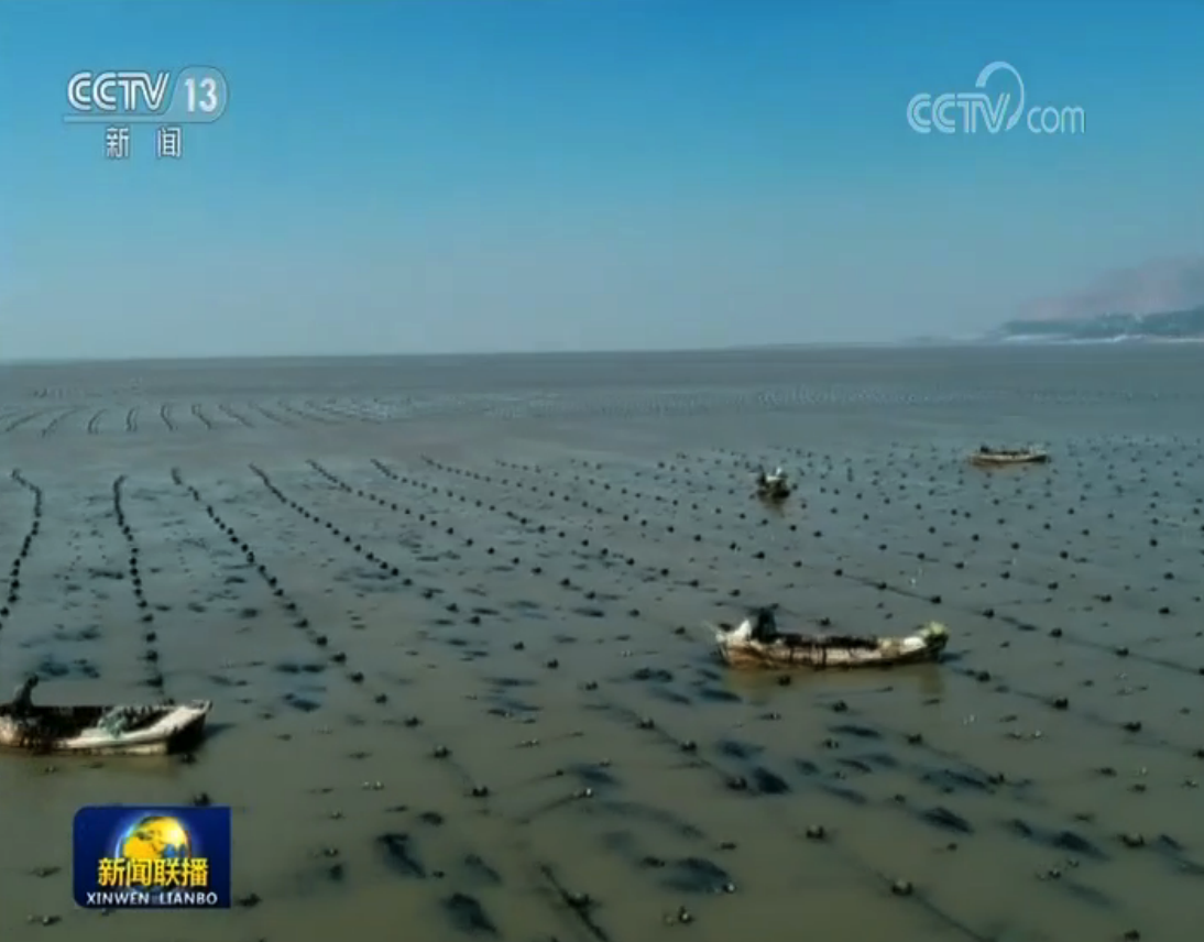 #春季#抓农时 春季农业生产正稳步推进