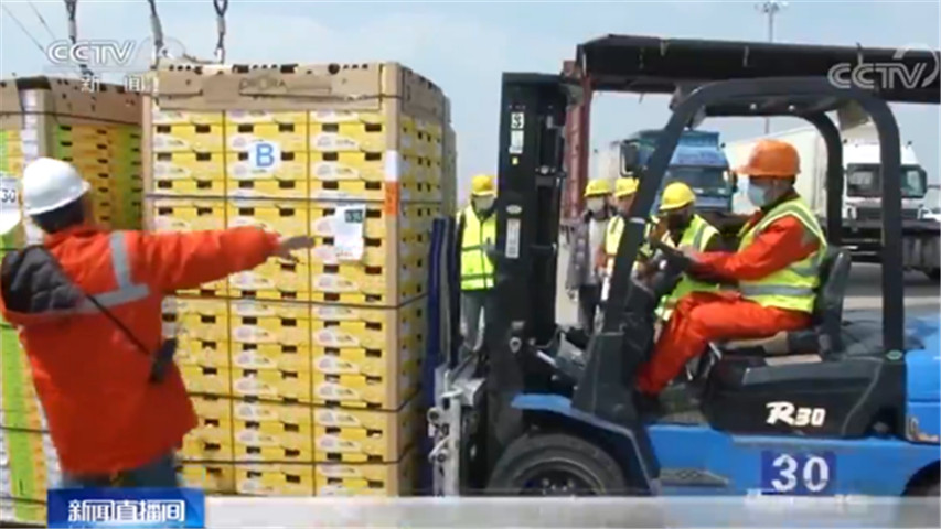 猕猴桃@随报随批！上海口岸进口的水果量已恢复到去年同期的90%