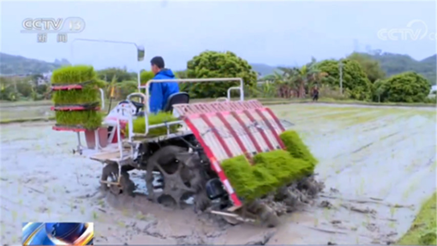 [早稻]广东：扩大机械作业面积 早稻栽插完成962万亩