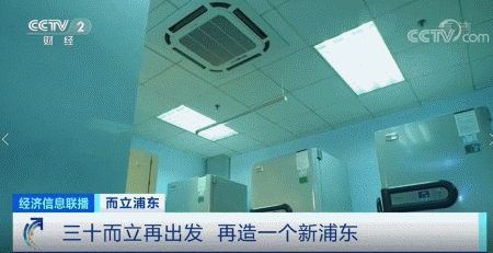 「浦东」再造一个新“浦东”！