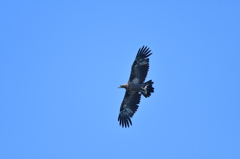 8点见@【8点见】100余万大学生已返校！五一后还有9省份高校开学