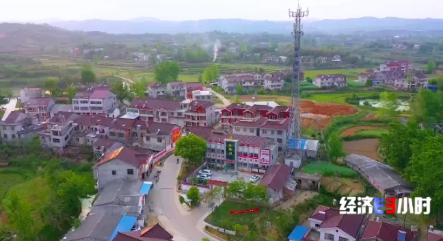 【粮食价格】他火了！理工博士、网红市长！频频登上热搜榜，金句频出的“带货王”