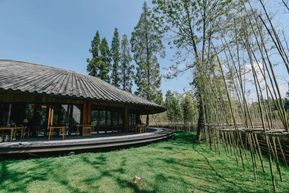 成都“闲”不下来的成都