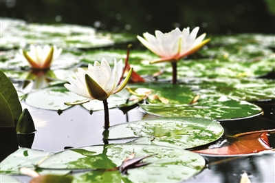 水环境宁夏首次发布城市水环境质量排名