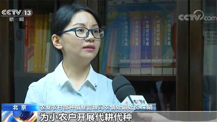 夏播|夏播进行时 | 农业农村部：夏播粮食过八成 进度快质量高