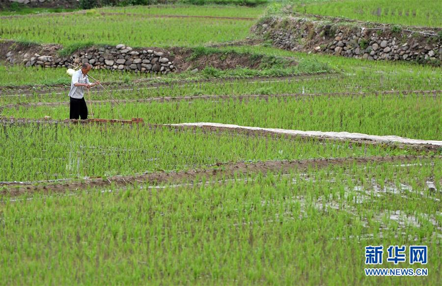 （新华全媒头条&middot;走向我们的小康生活&middot;图文互动）（11）大山深处有&ldquo;新家&rdquo;&mdash;&mdash;大别山村绘出现代版&ldquo;富春山居图&rdquo;