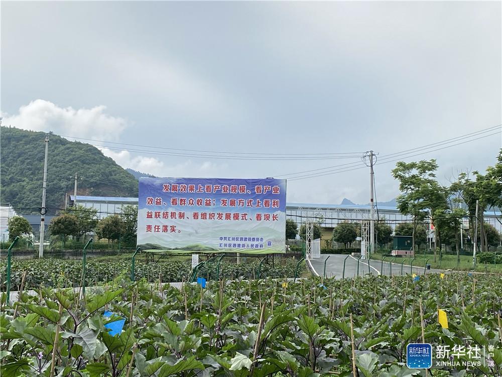 贵州|贵州：娄山关脚下坝区旧貌换新颜