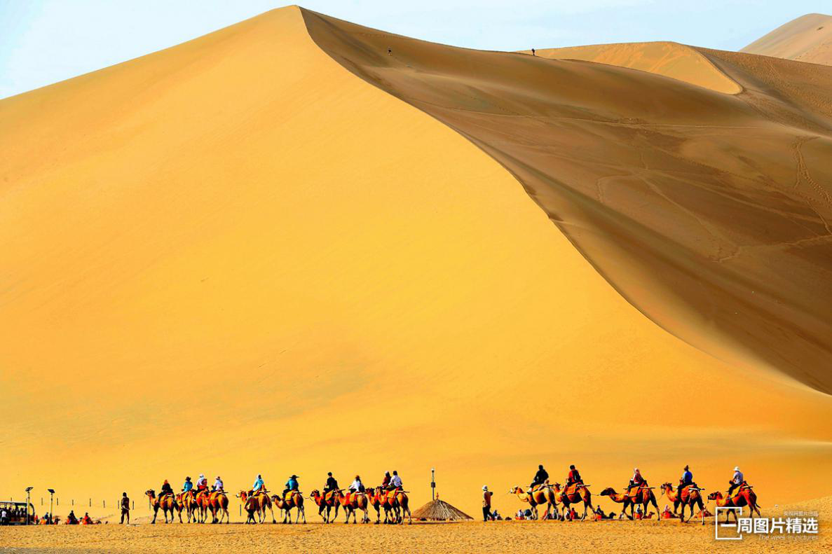 8点见|【8点见】大连地铁回应老人无健康码乘车受阻