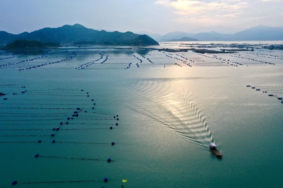 治理后的宁德近岸海域