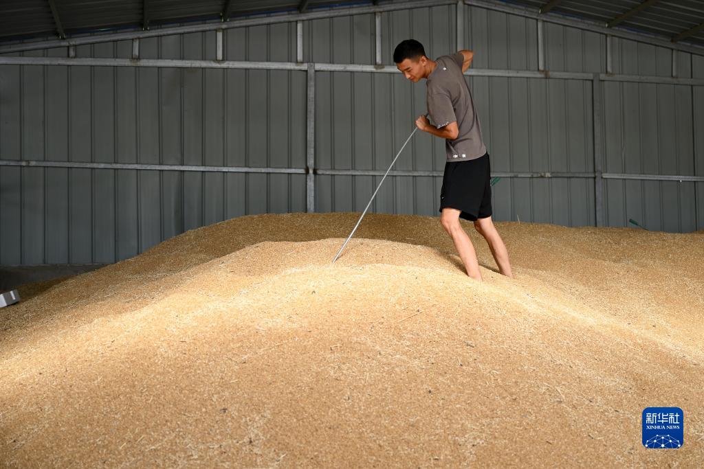 大学生“新农人”的田园创业梦 图4