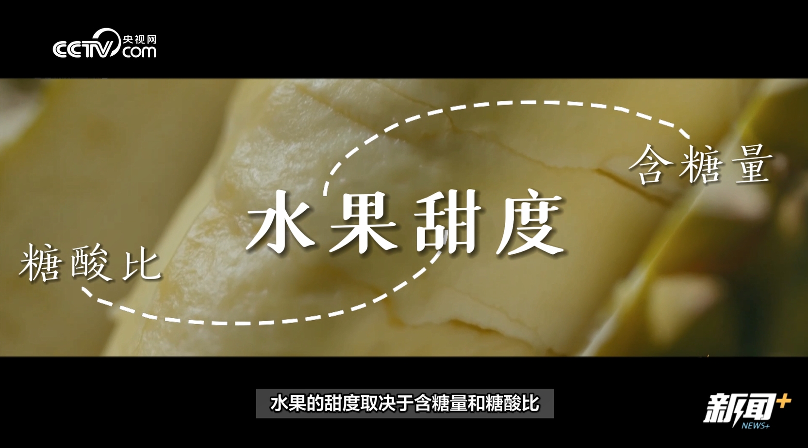 当水果走起“纯甜风” 网友：现在的水果怎么越来越甜了？？开云体育官网(图2)